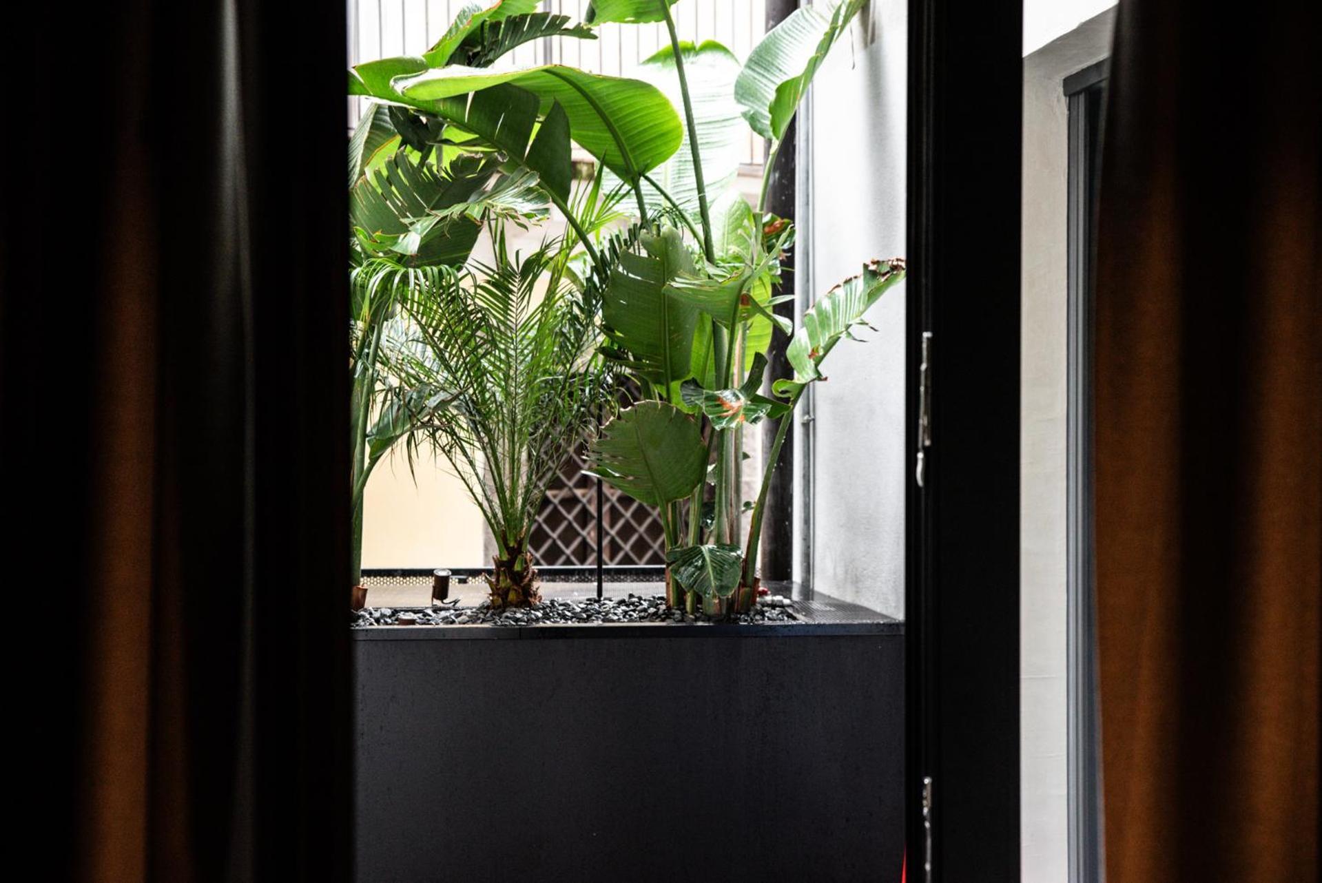 Terme Di Bacco - Design Apartaments And Spa Catania Exterior photo